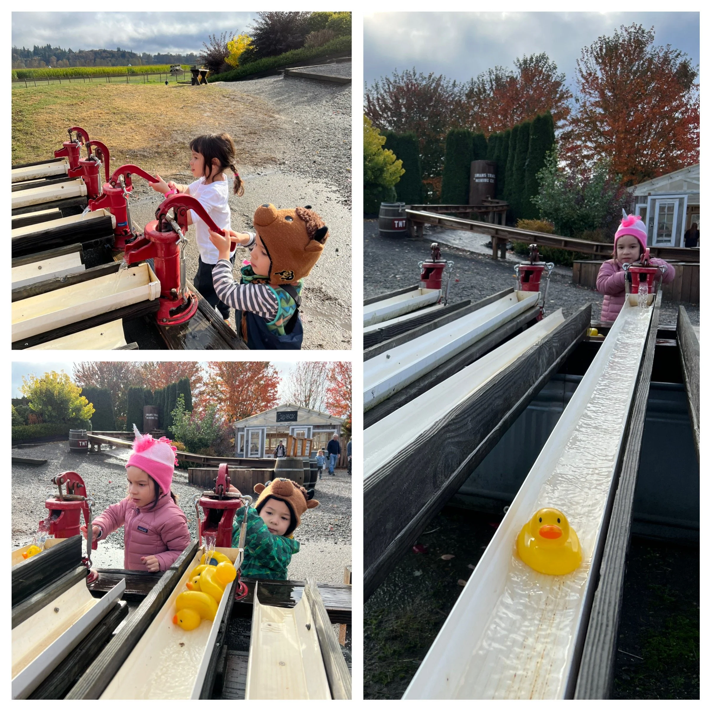 Duck racing