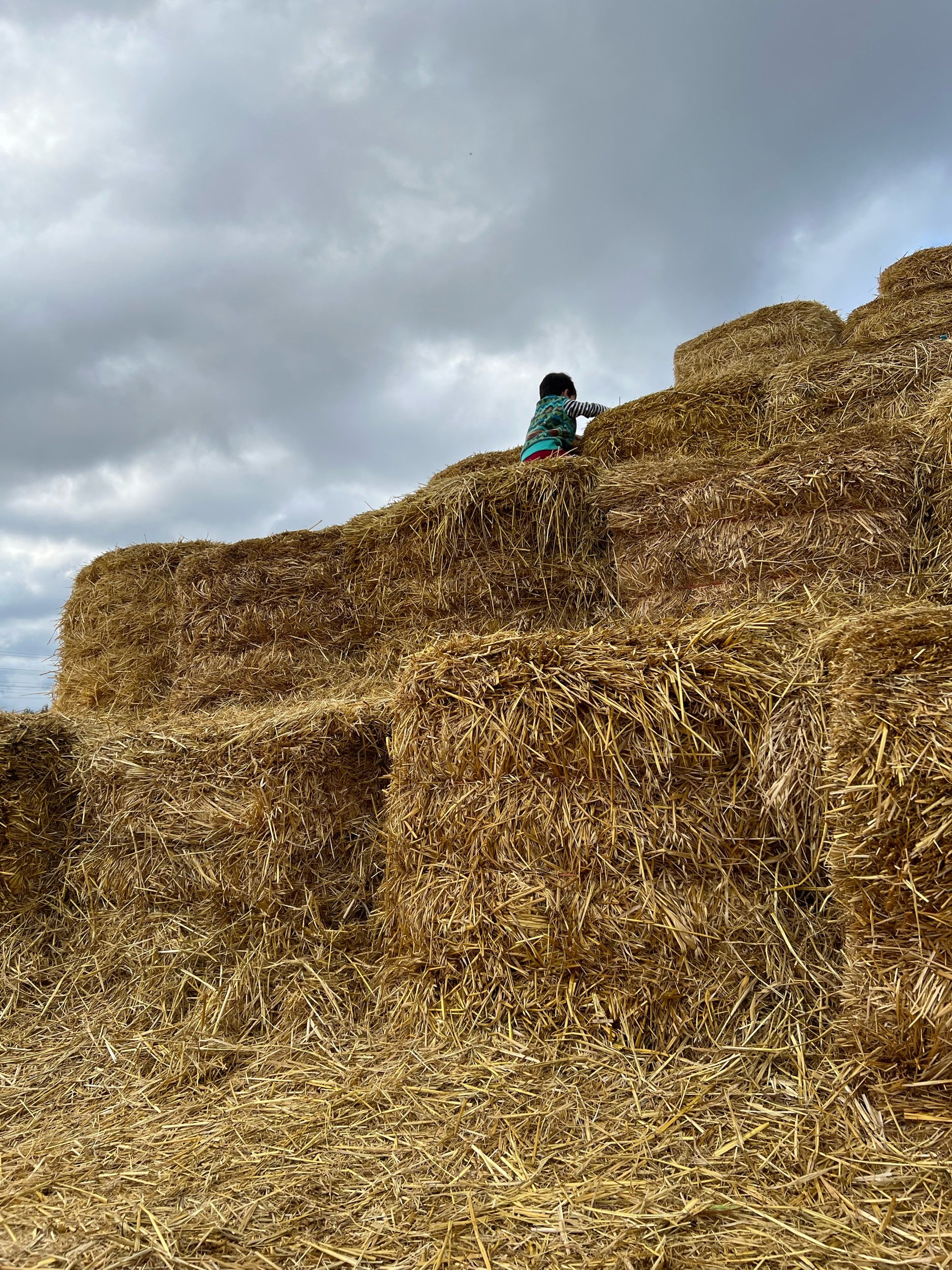 Where’s that needle?