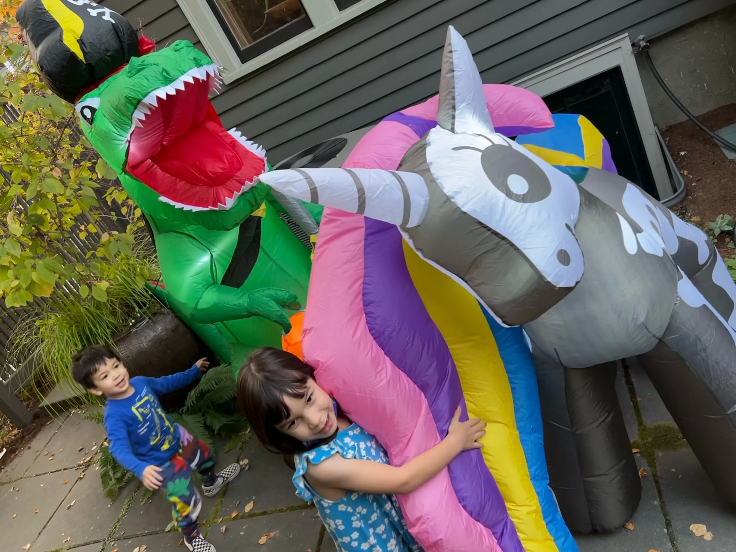 Can’t stop won’t stop