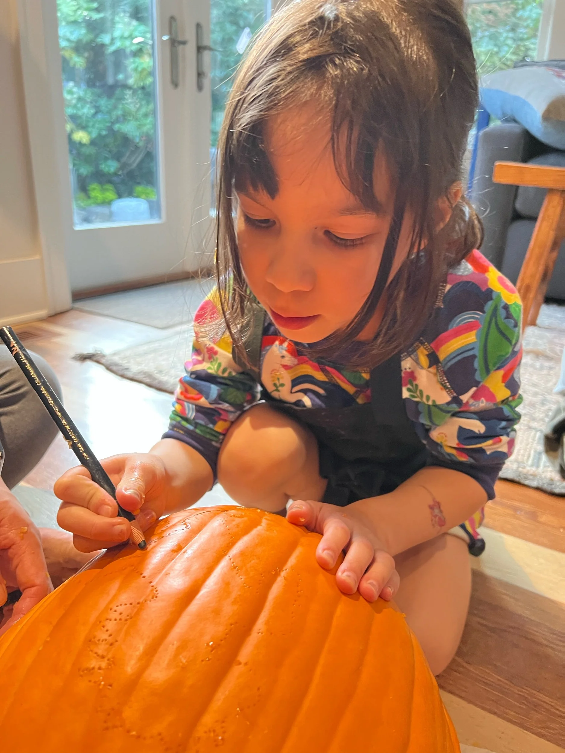 Unicorn in the making