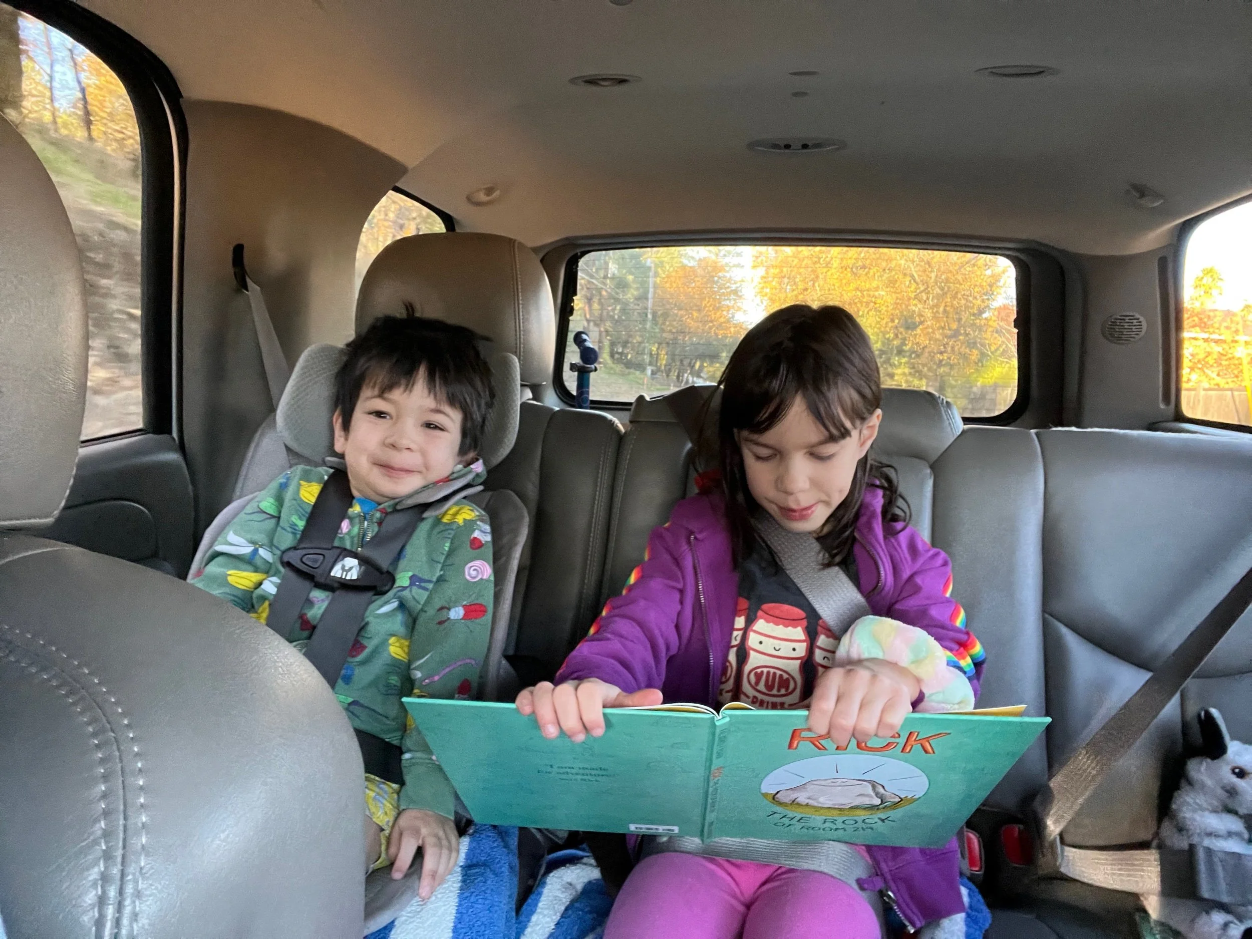 Driving entertainment