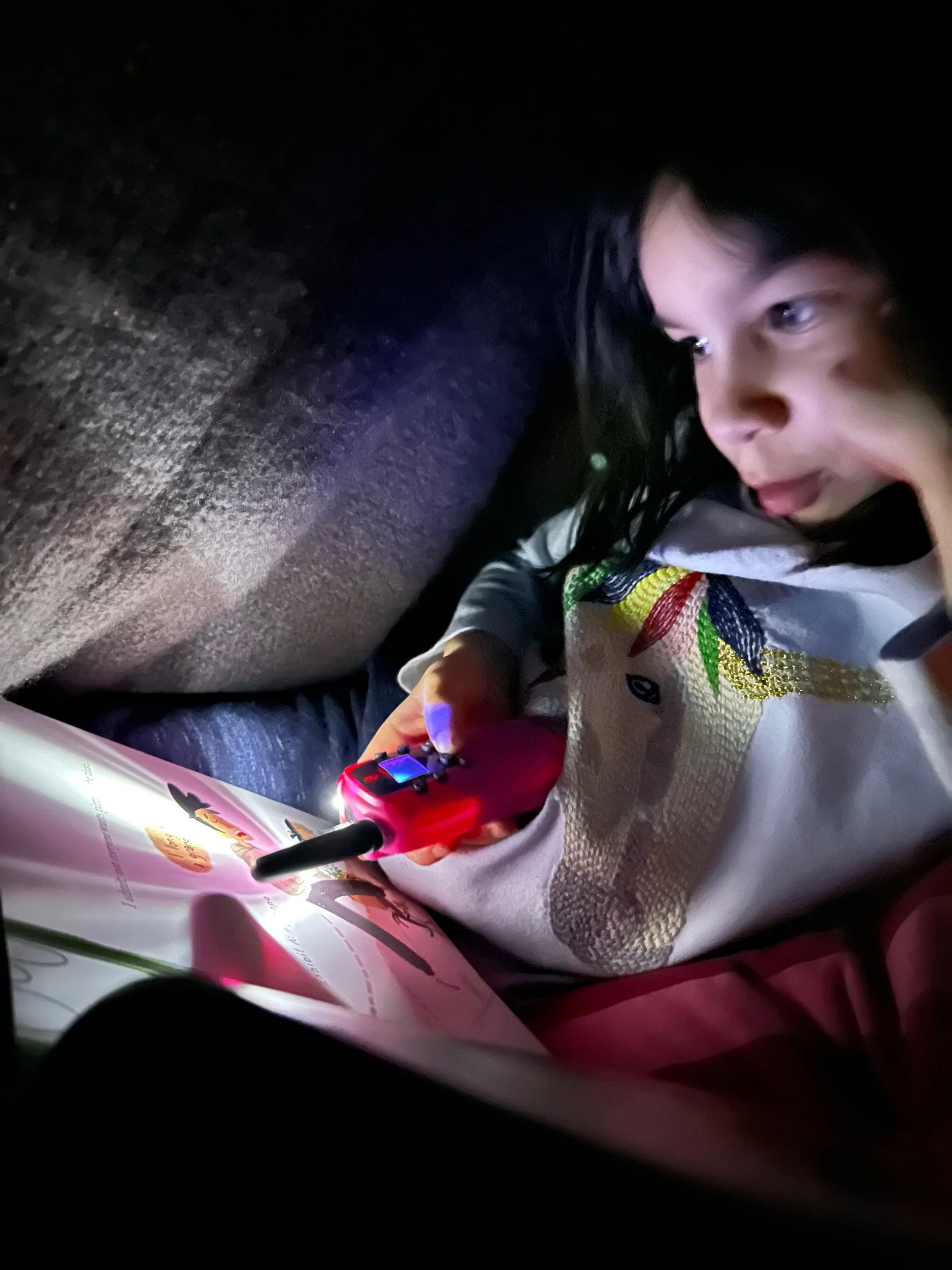 Homework in the fort