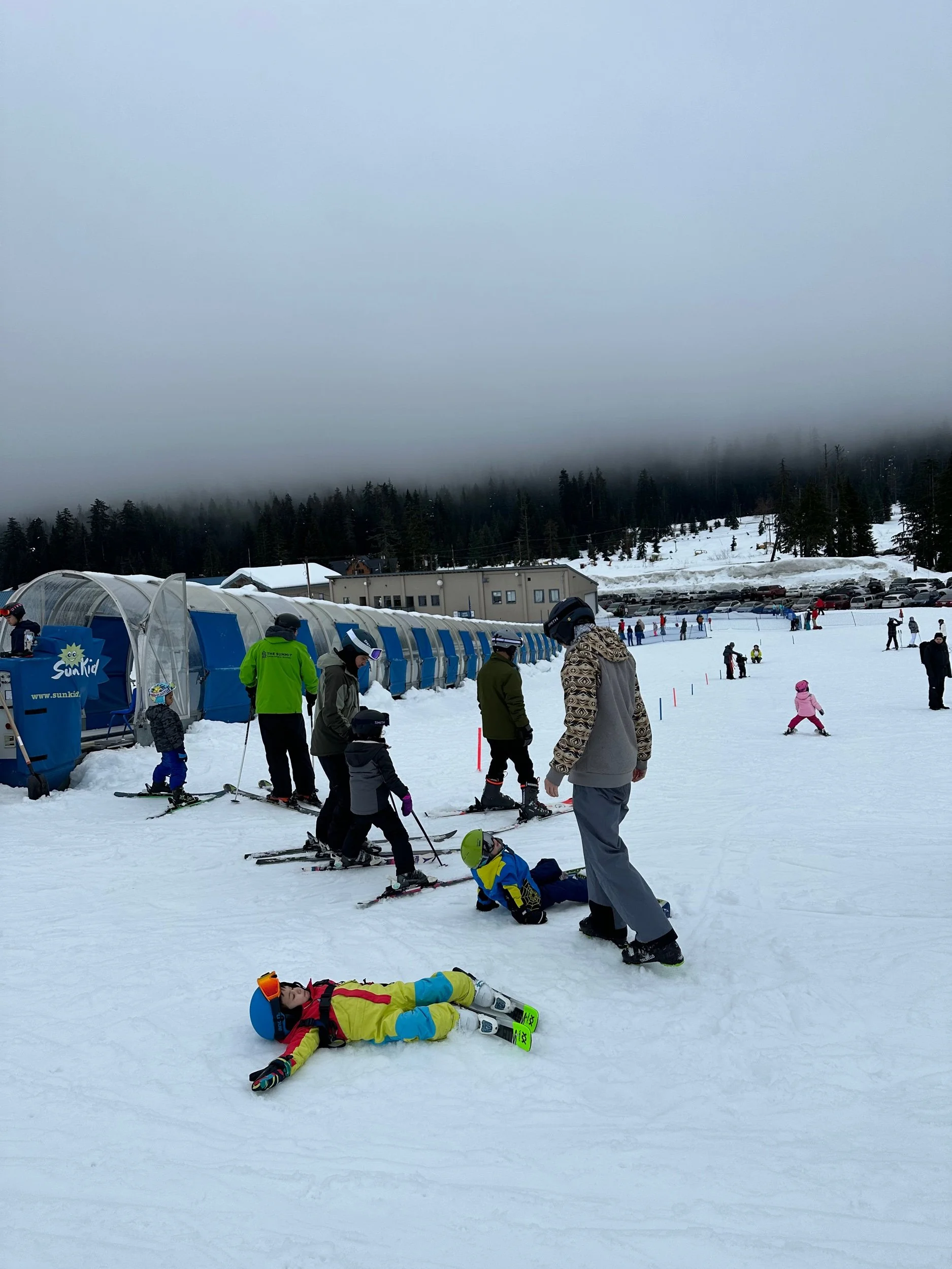 Too many pizzas and fries