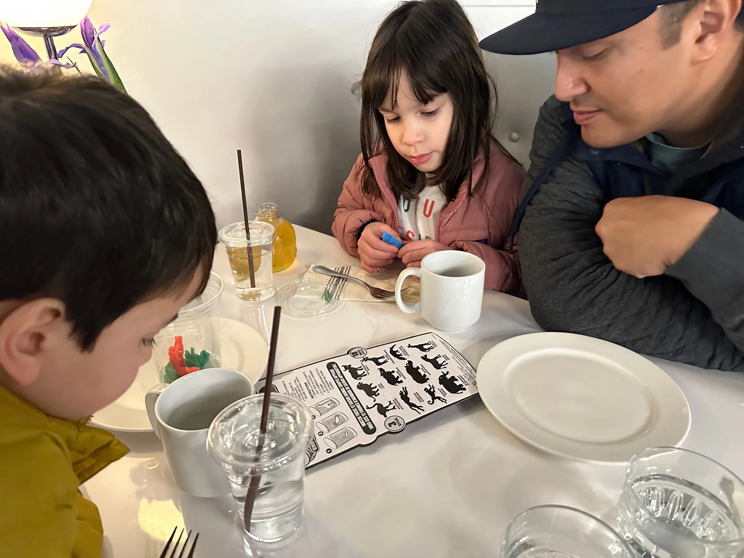 Growing sponge animals