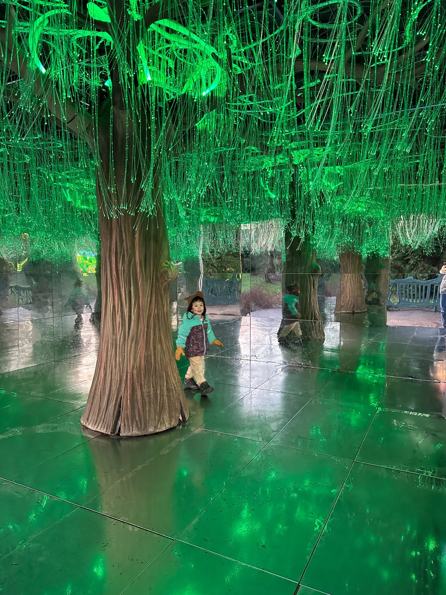 Deep into the forest