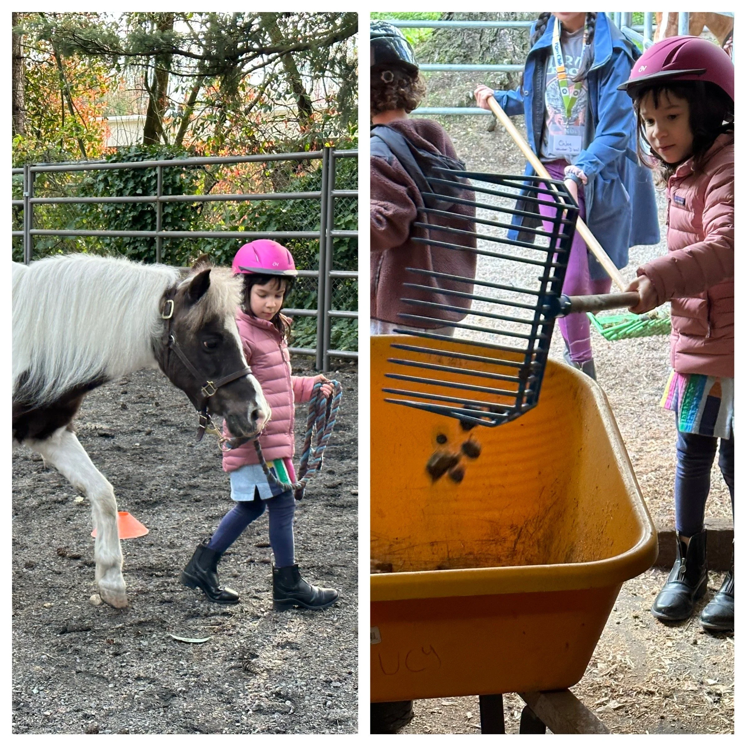 Pony Club