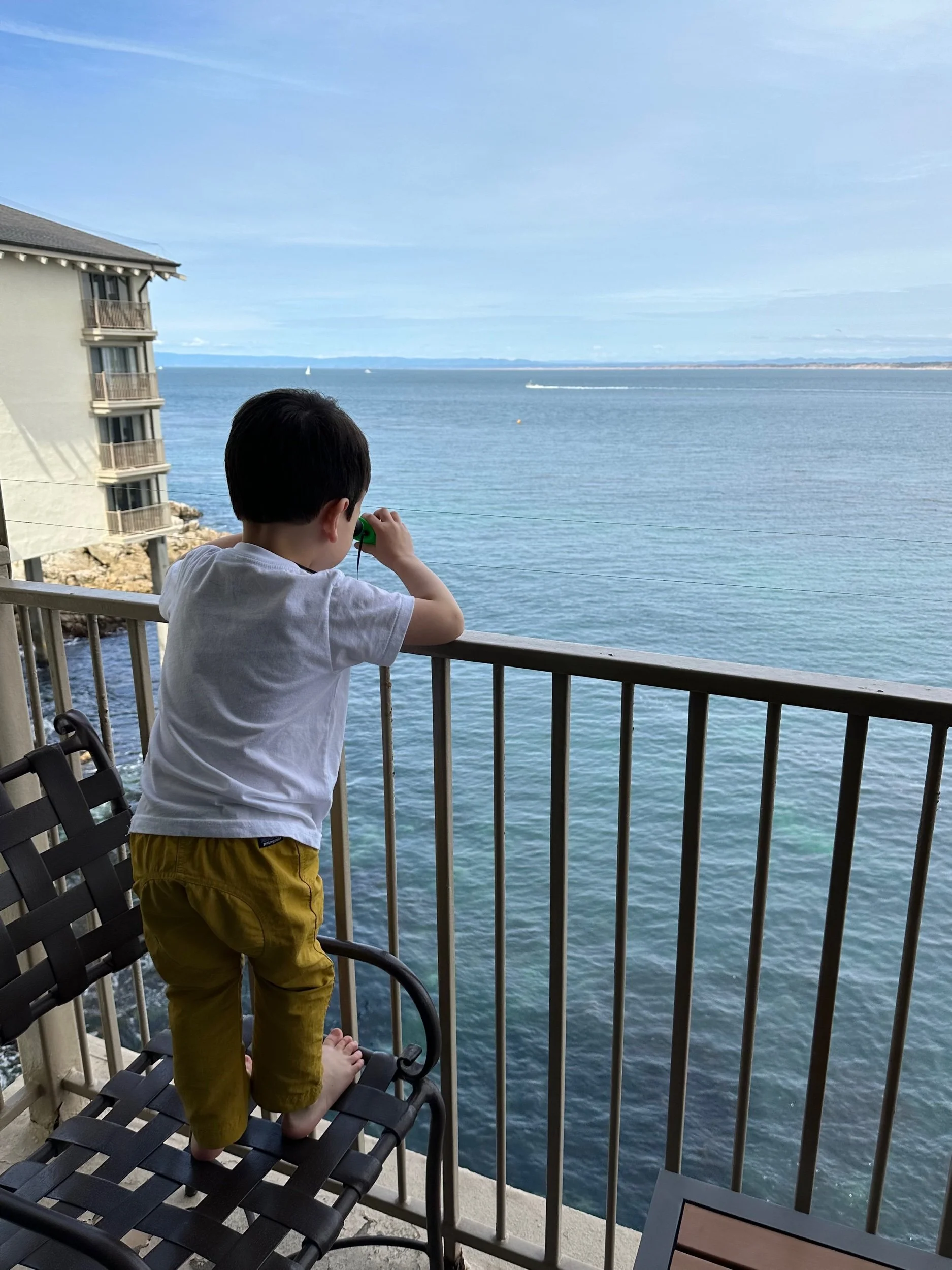 Sea otters, you out there?