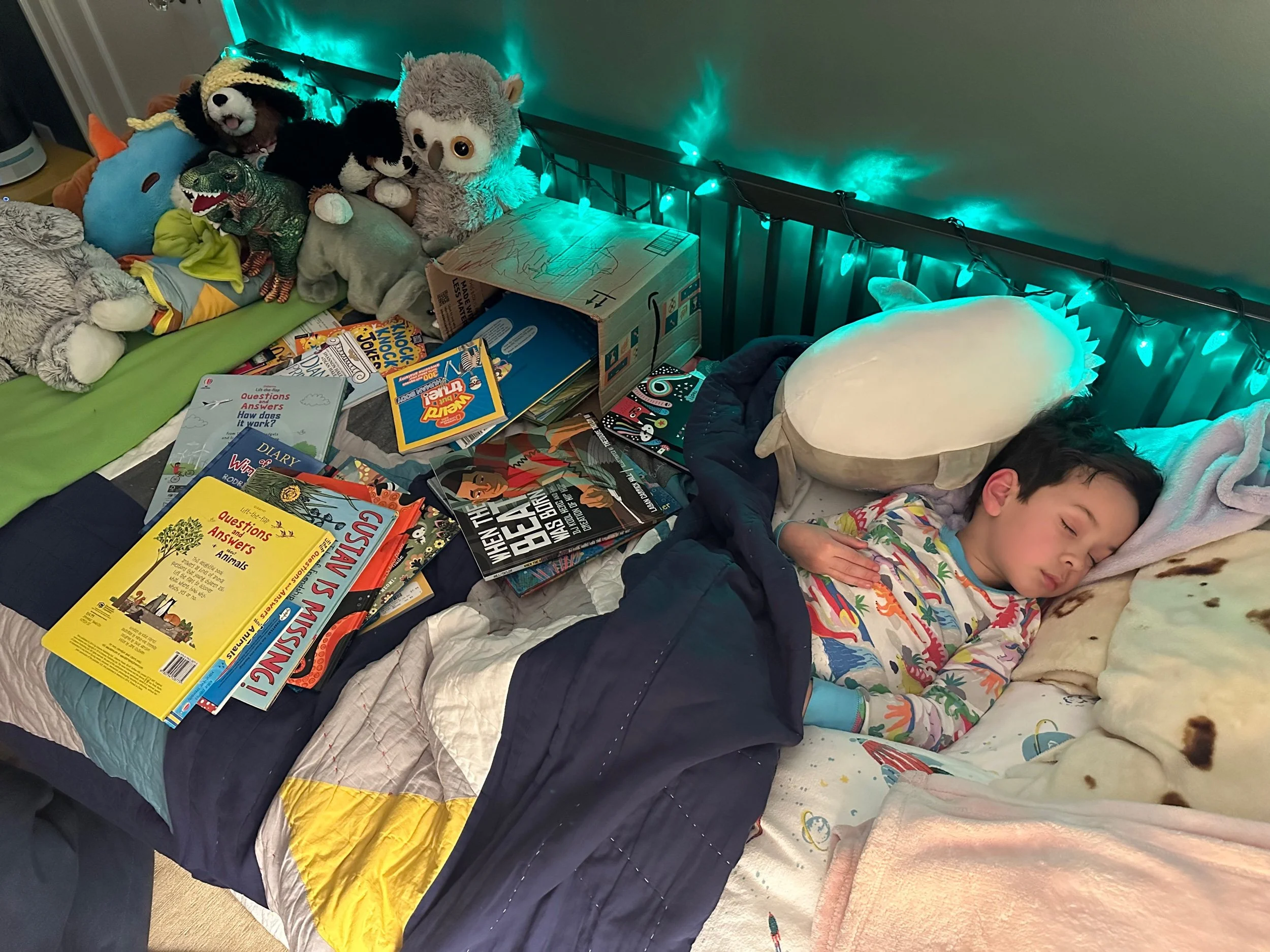 We have a bed library