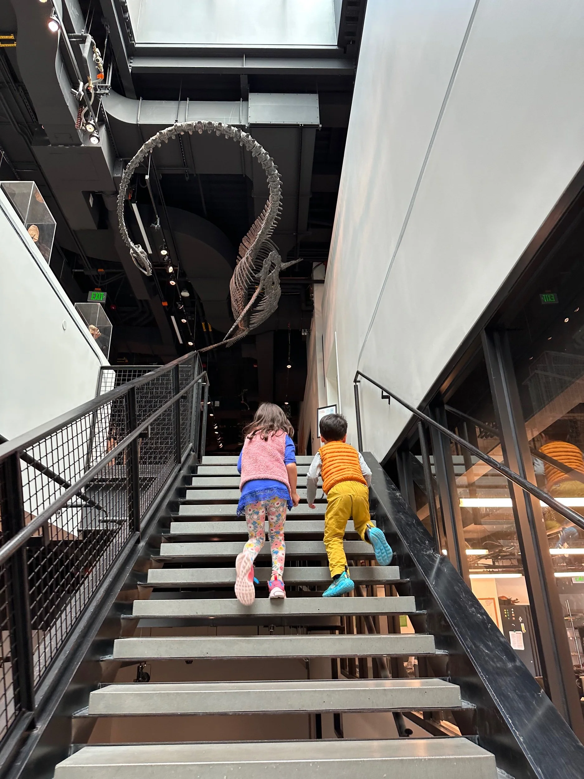 Dinosaurs, here we come