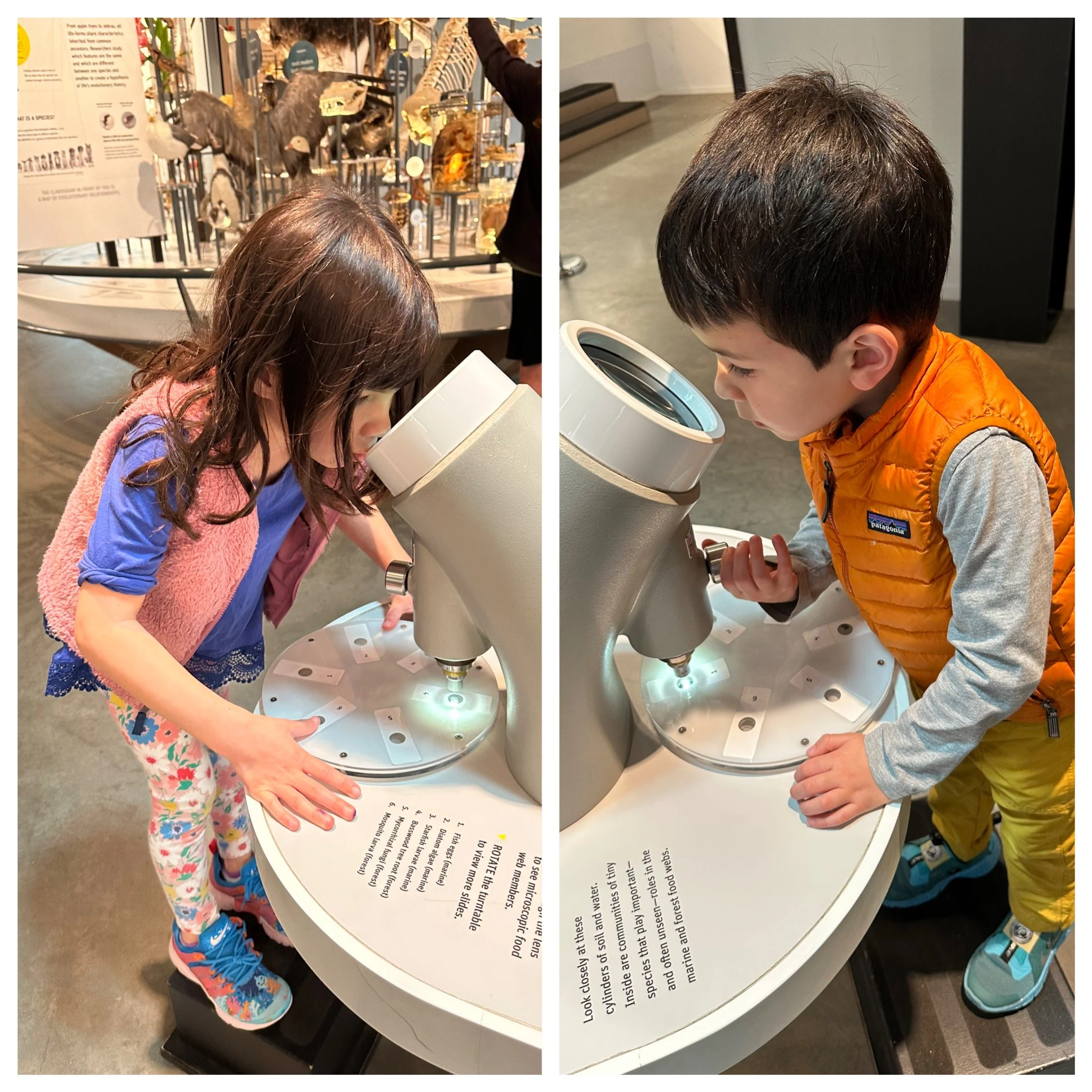 Zoom of a different kind