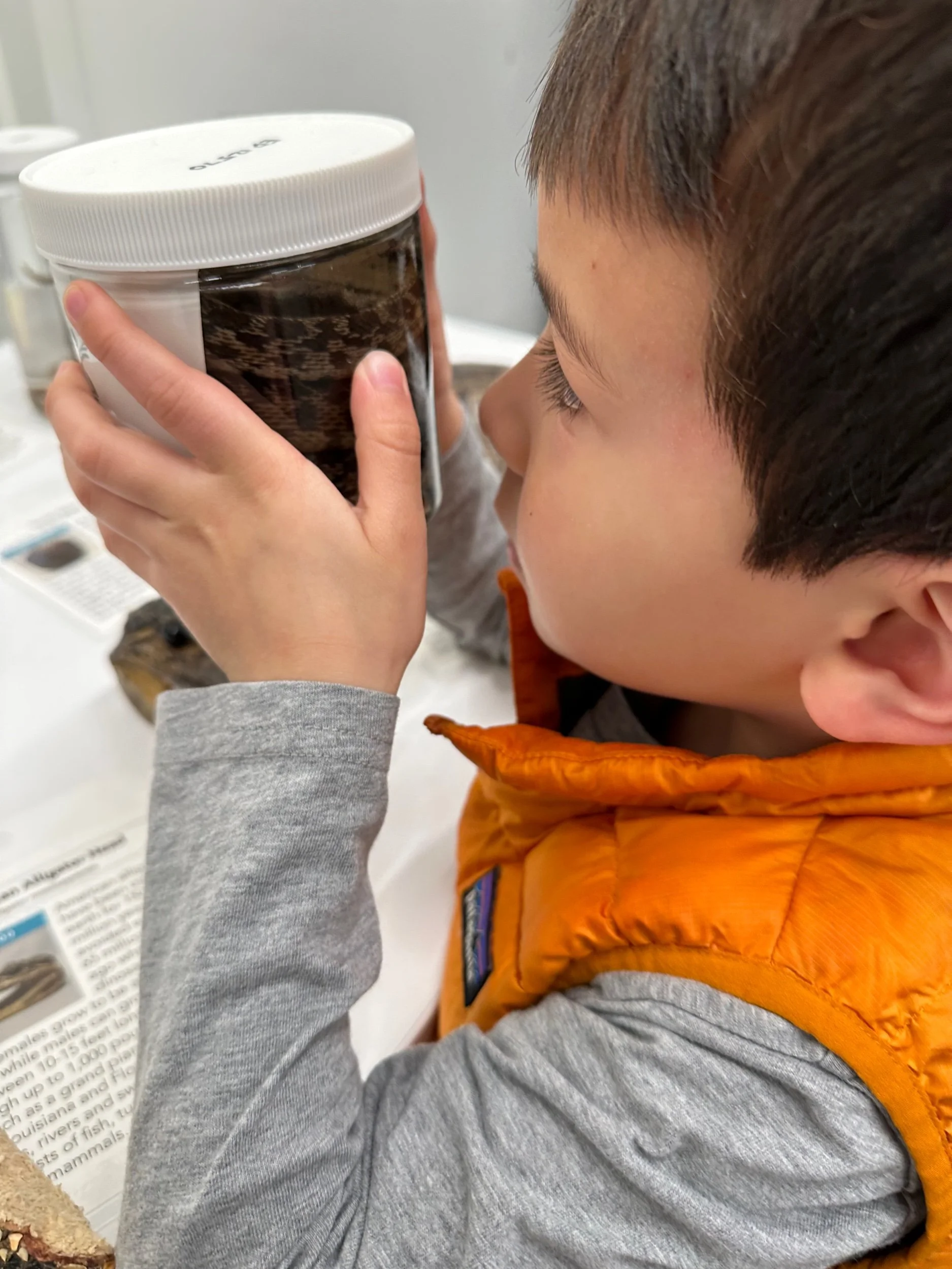 Zoom of a different kind