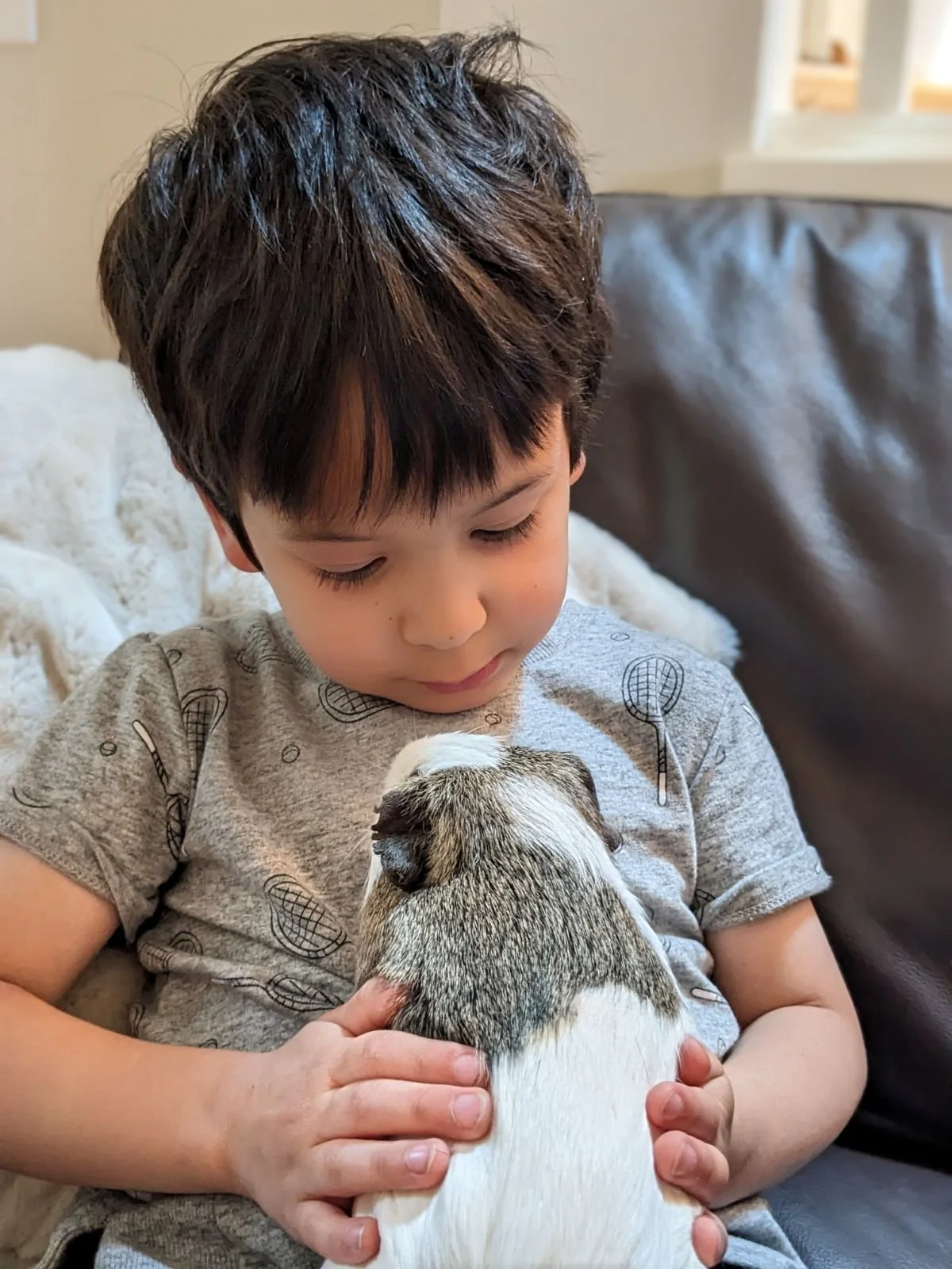 We are not getting a guinea pig