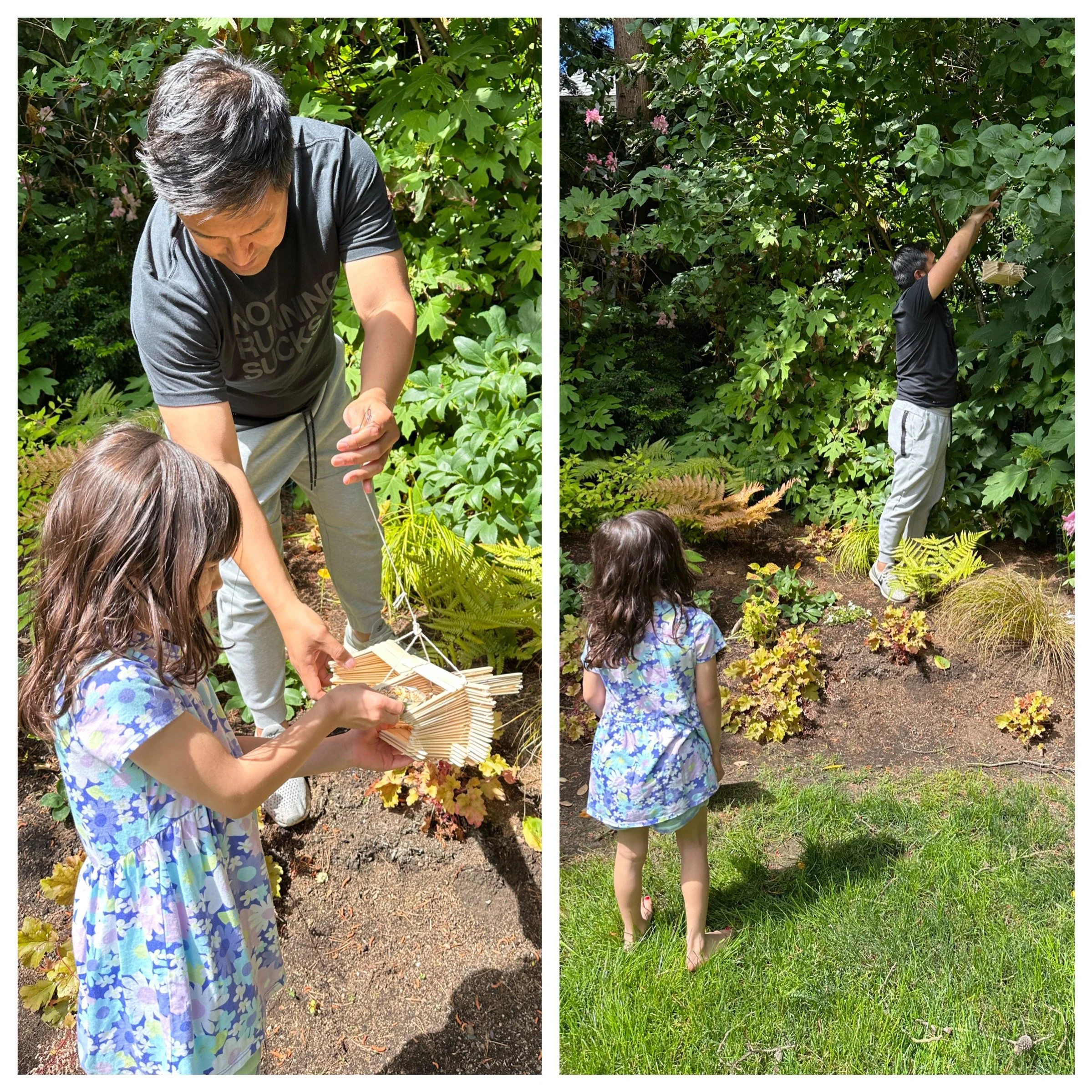 Popsicle sticks and glue