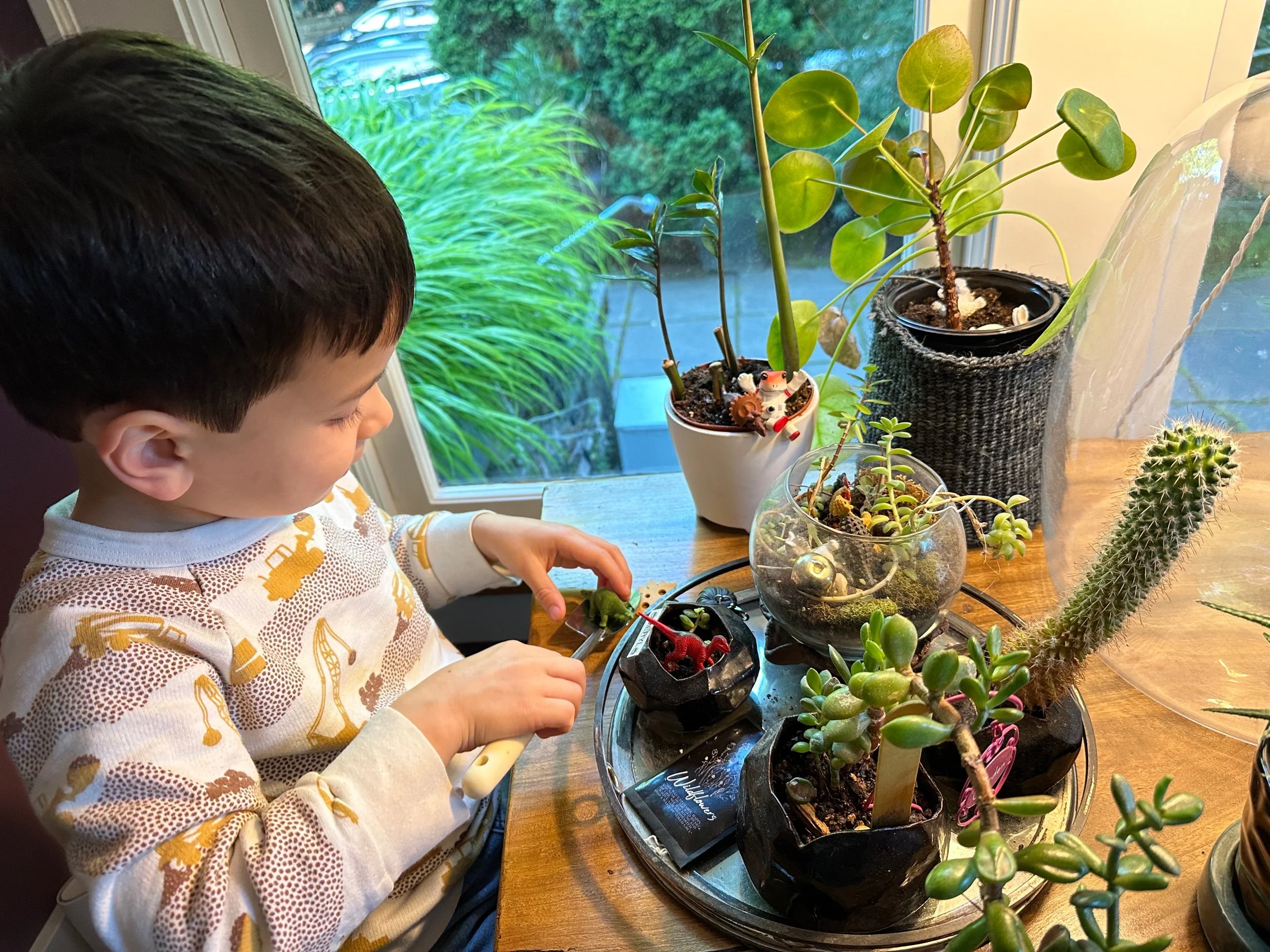 Dinos and succulents