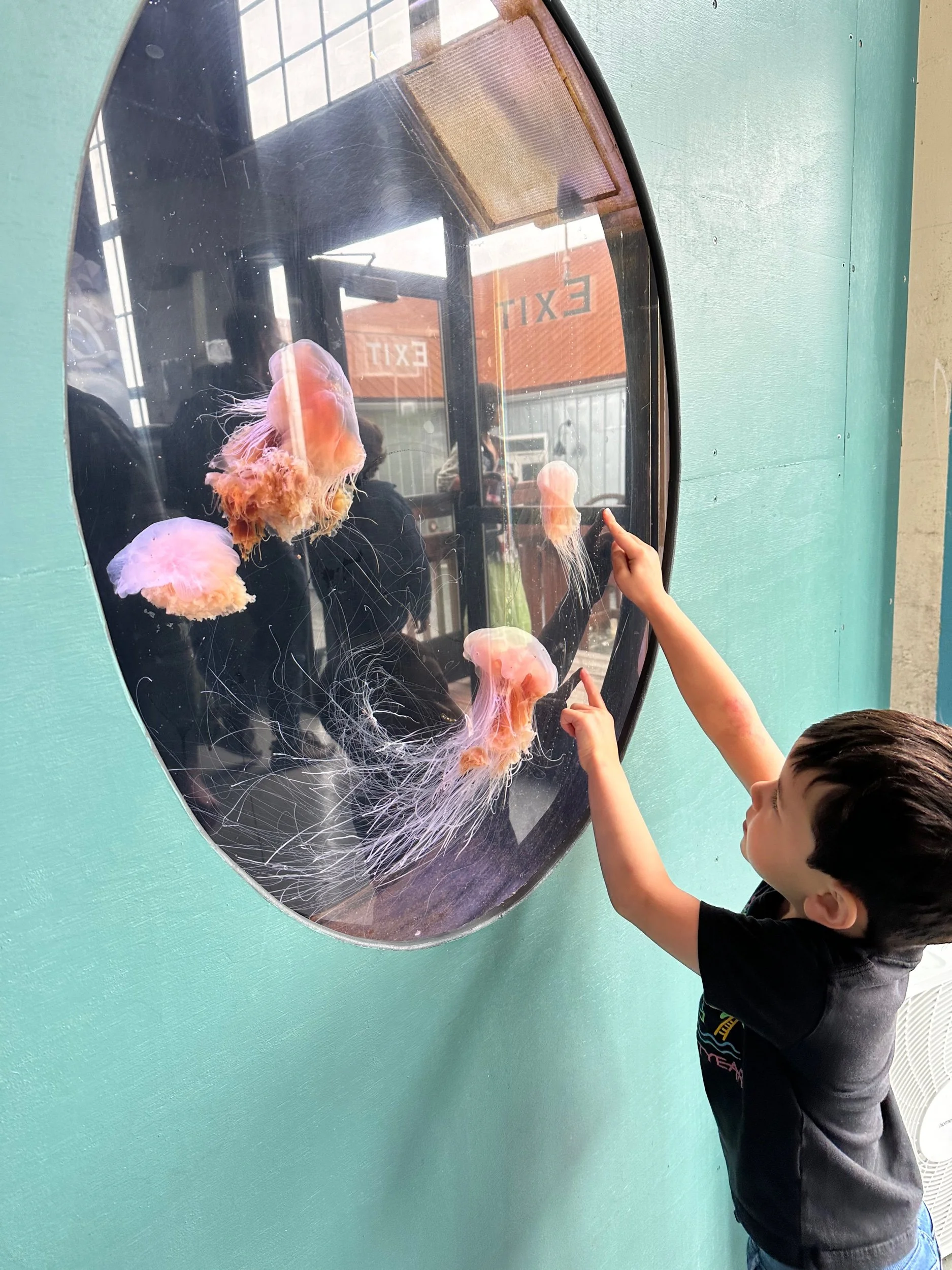 Sitka Sound Science Center