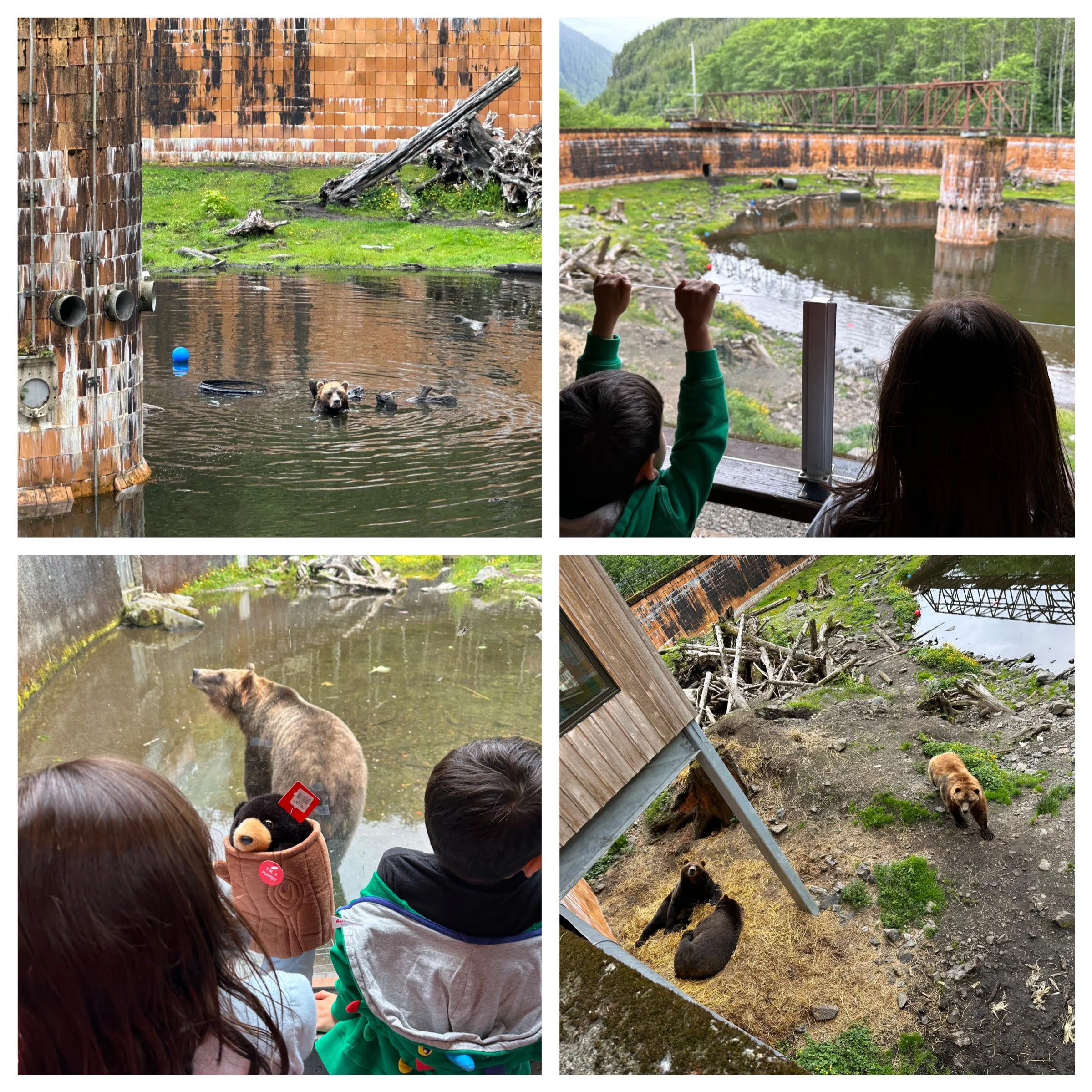 Fortress of the Bear