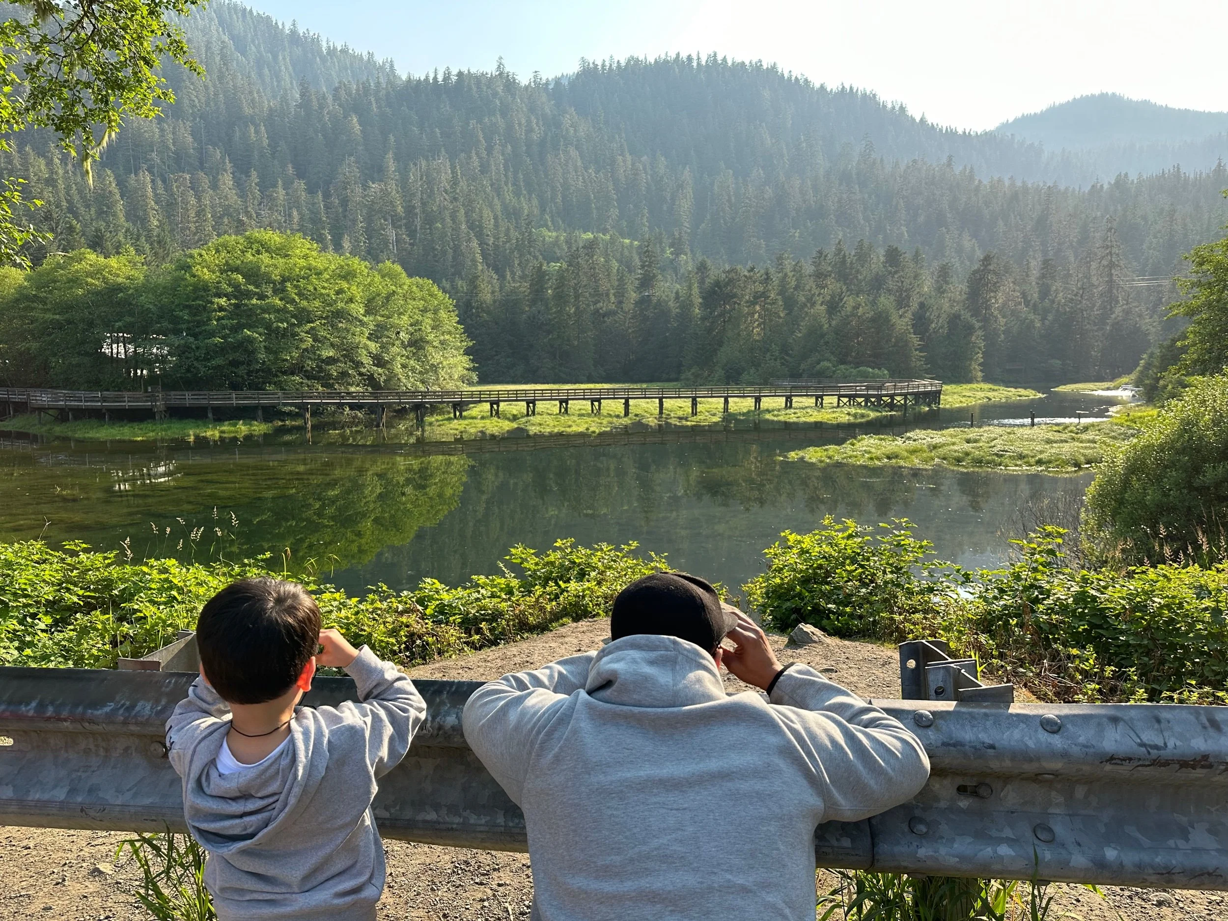 Staring at no bears