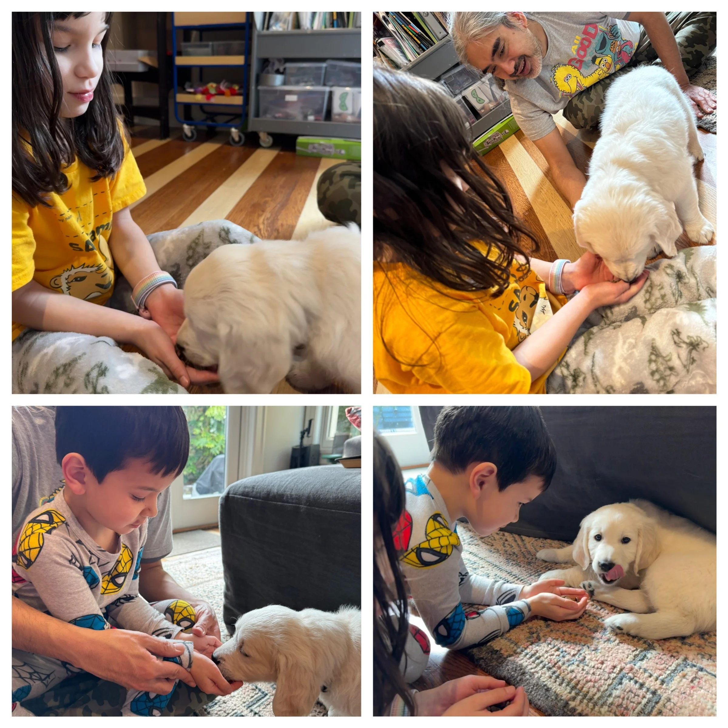 Training the trainers