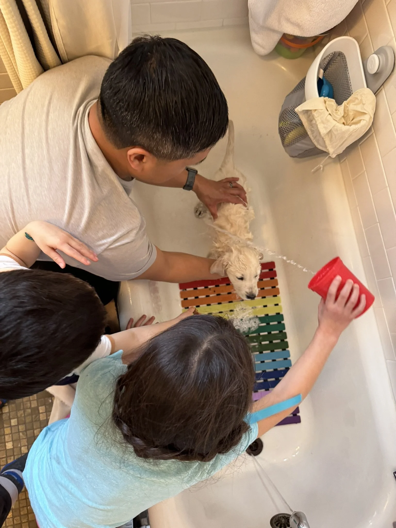 Mountain mud be gone