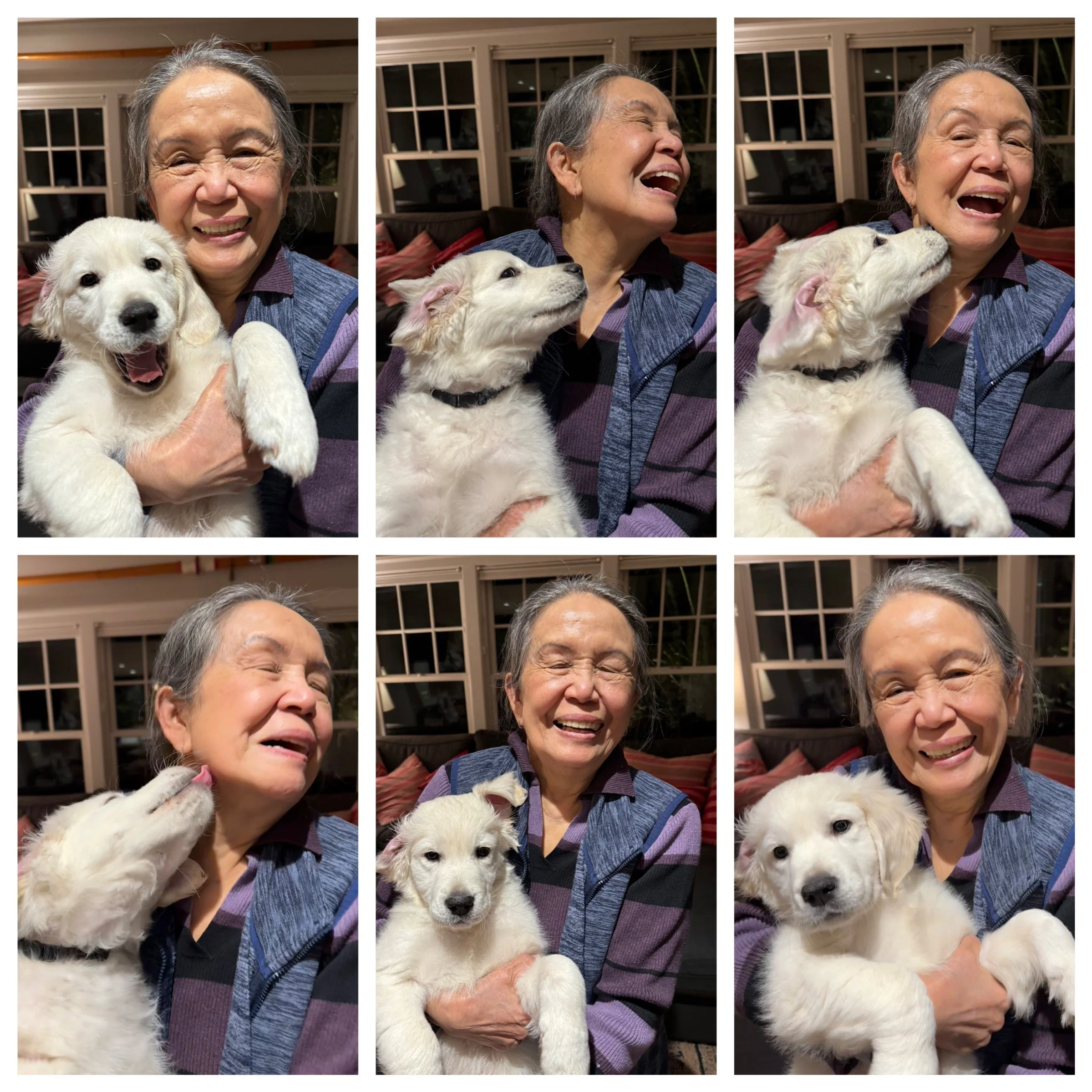 Humbao photo session