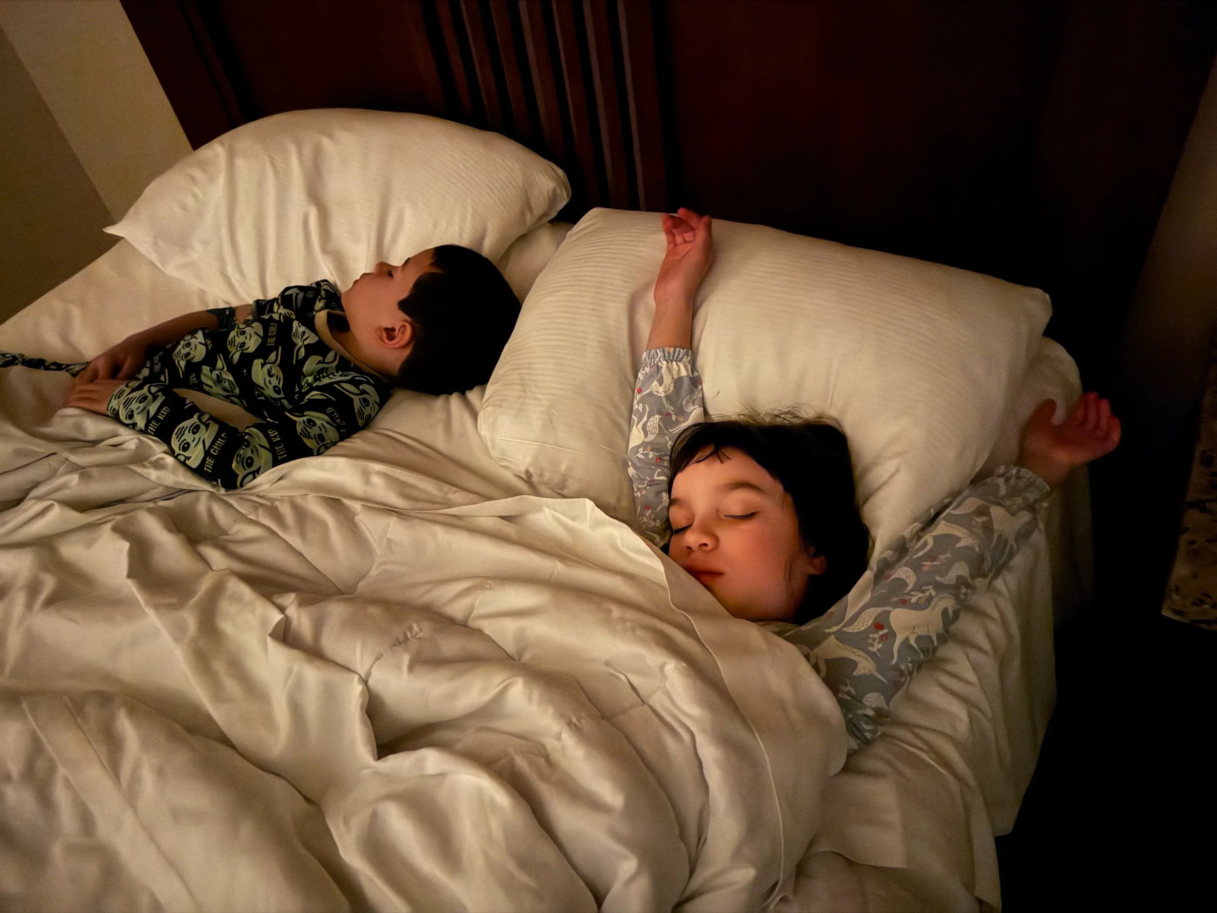 Disneyland was wonderful