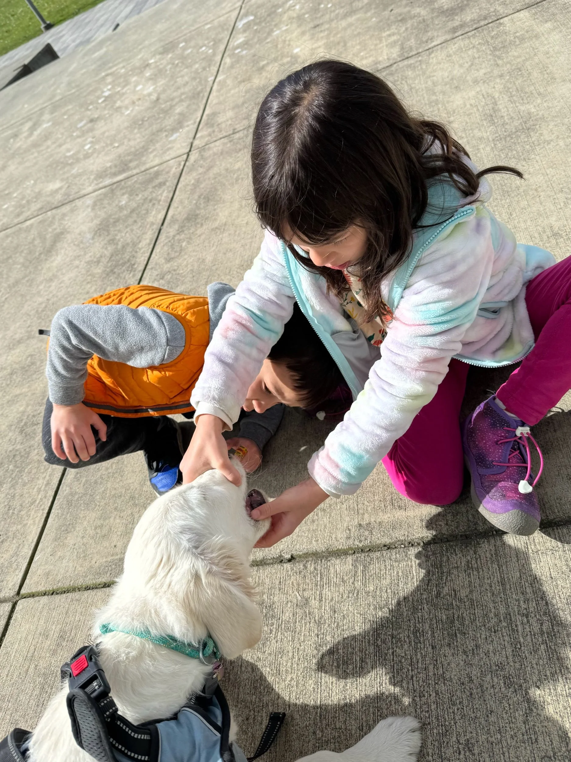 Checking for lost teeth