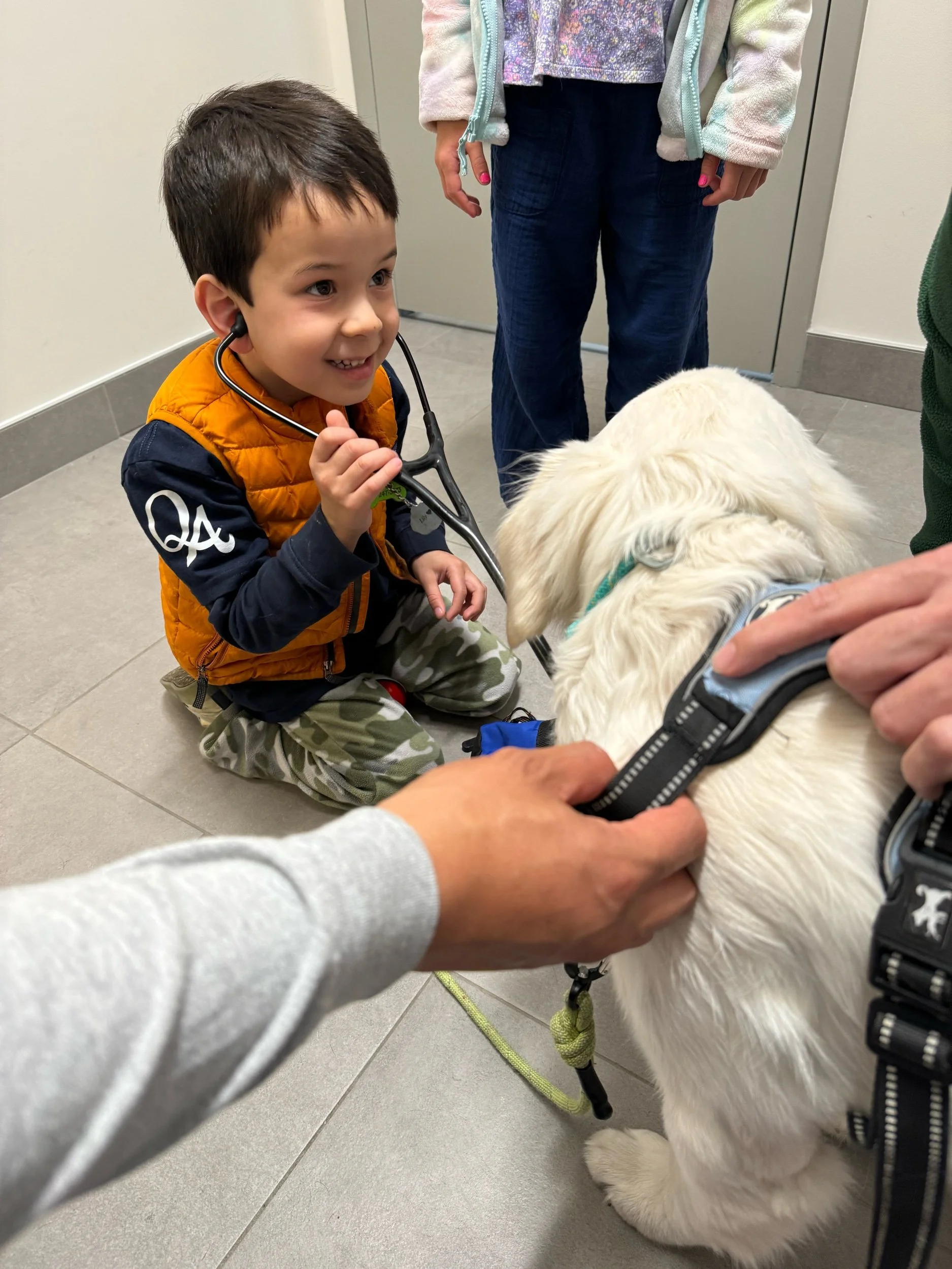 We love pet insurance