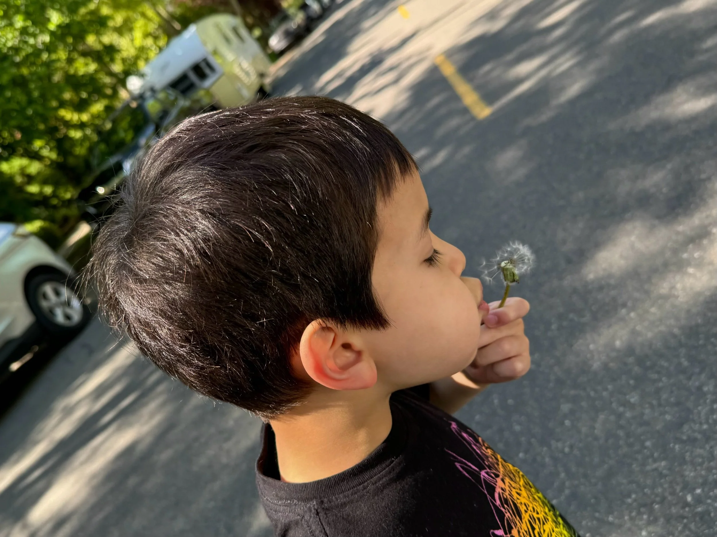 Pollen count influencer