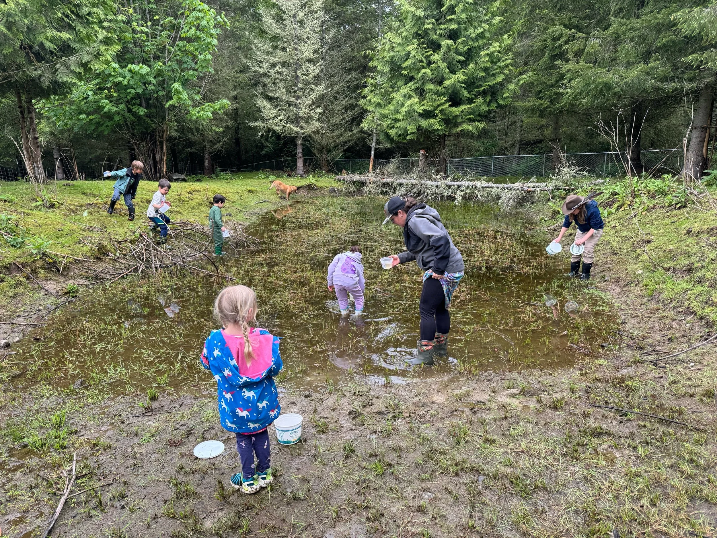 Scientific collections