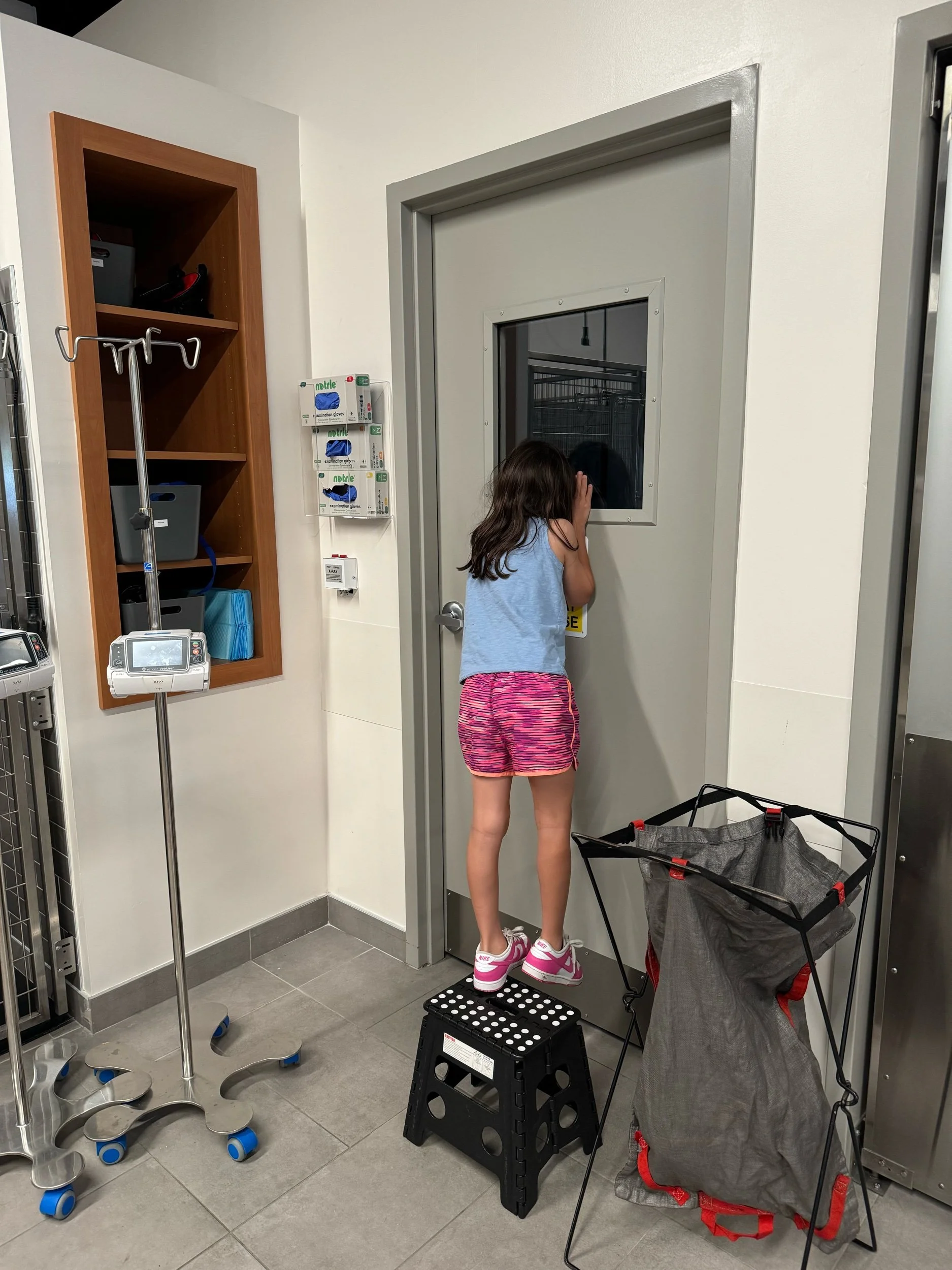 ER vet visits continue too