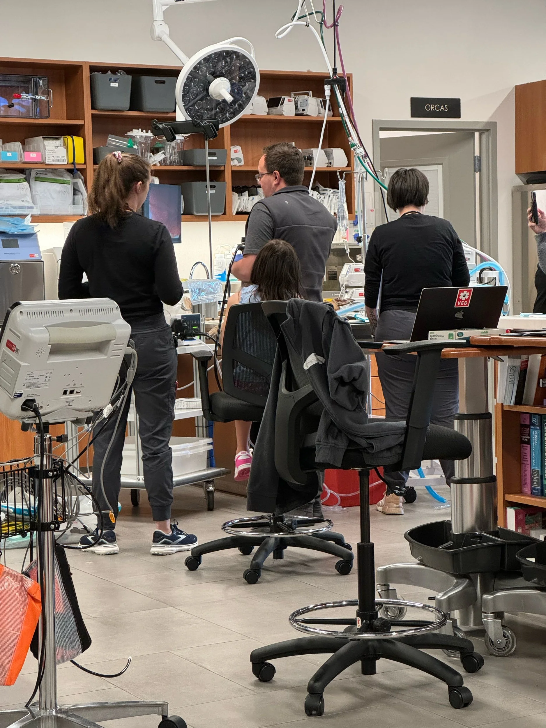 Summer STEM education 