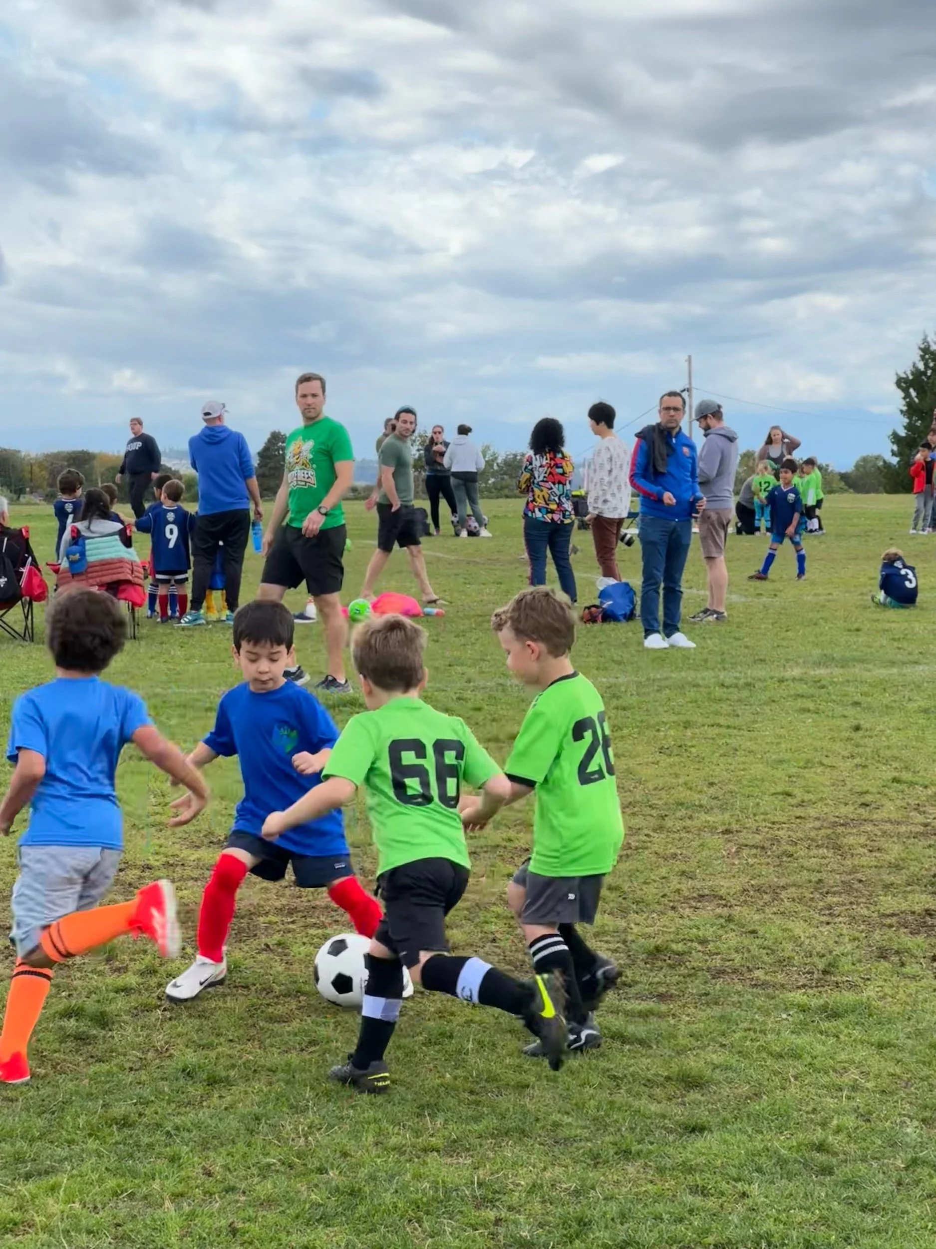 The buzziest Battle Bee