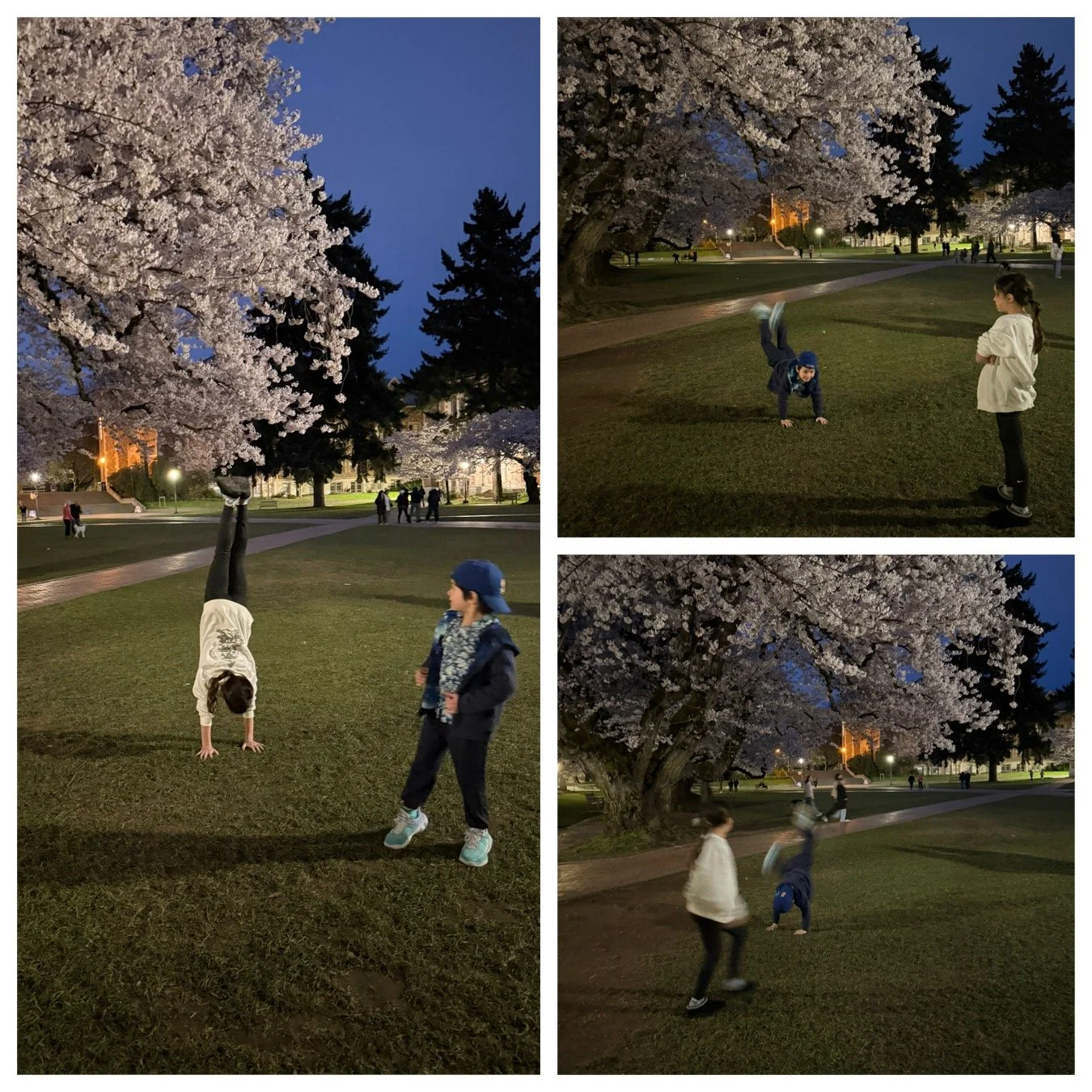Gymnastics in the Quad