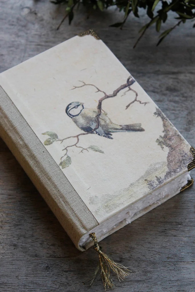 ornithology-art-journal-10.jpg