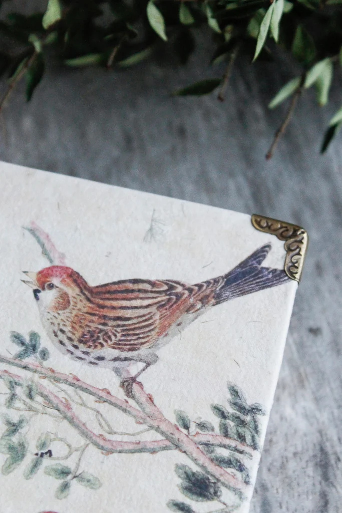 ornithology-art-journal-21.jpg