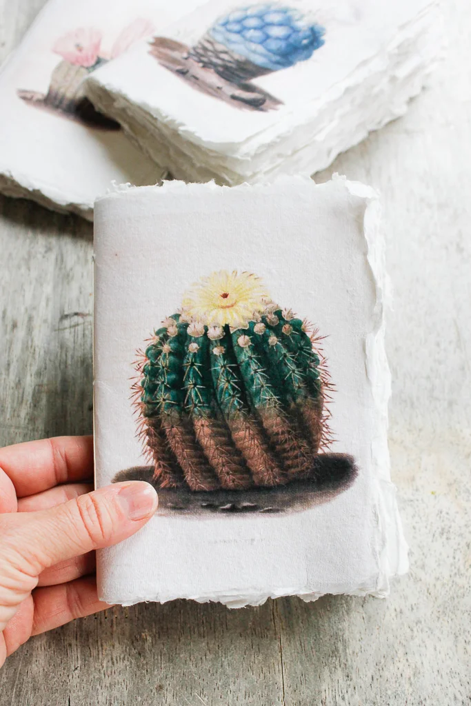 Cacti | Watercolour art journal, khata with Khadi cotton-rag paper,