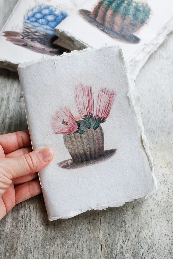 Cacti | Watercolour art journal, khata with Khadi cotton-rag paper