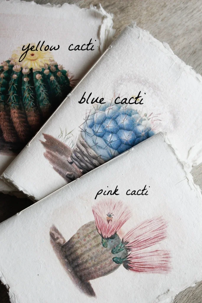 Cacti | Watercolour art journal, khata with Khadi cotton-rag paper,