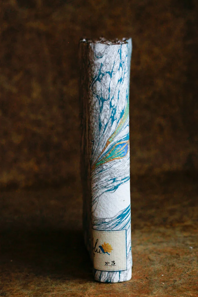 marbled-paperback-painted-journal (25 of 45).jpg