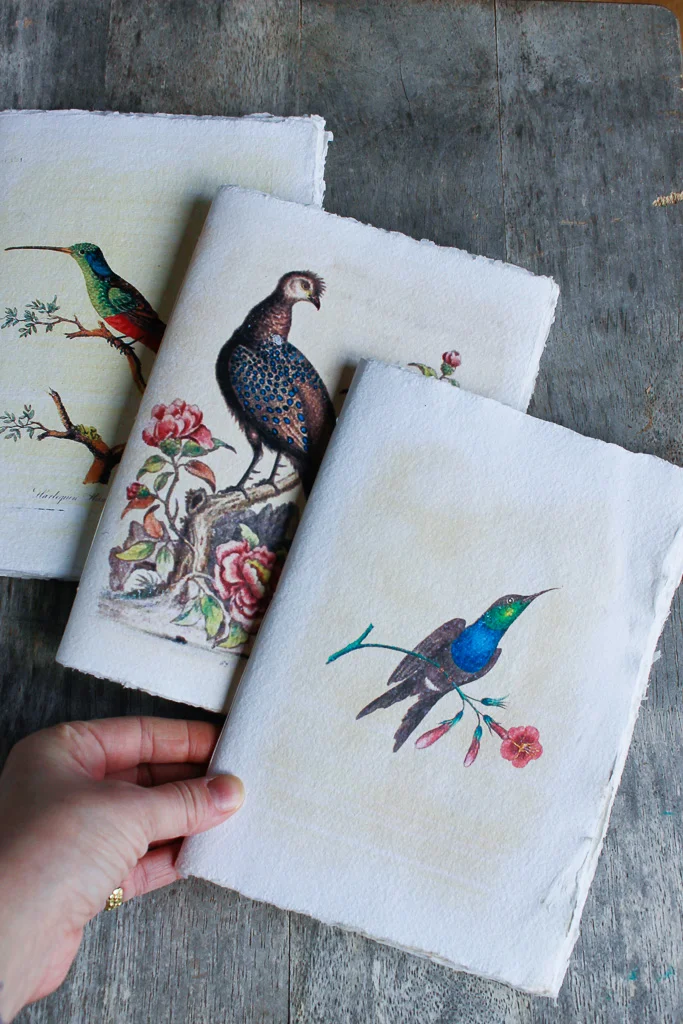 watercolour-cotton-rag-paper-art-journal (39 of 43).jpg