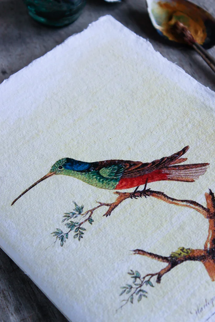 watercolour-cotton-rag-paper-art-journal (15 of 43).jpg