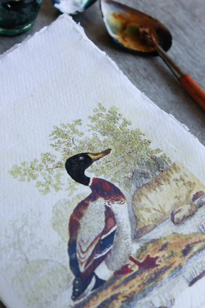 watercolour-cotton-rag-paper-art-journal (27 of 43).jpg