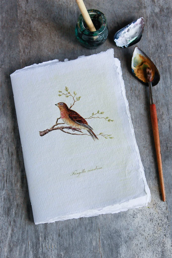 Woodland Bird Watercolour art journal