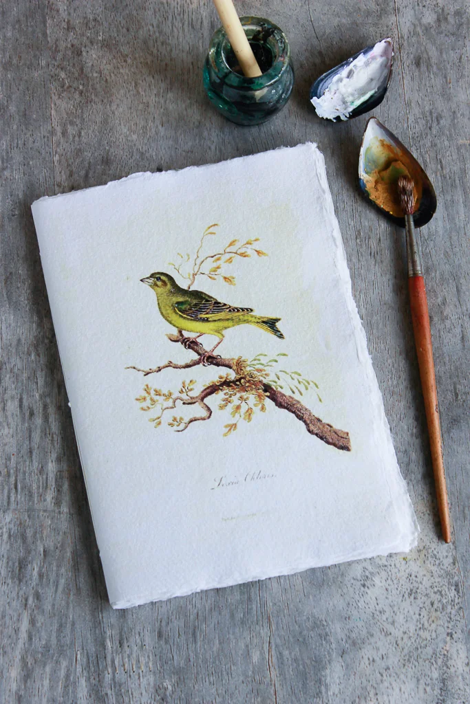 Woodland Bird Watercolour art journal
