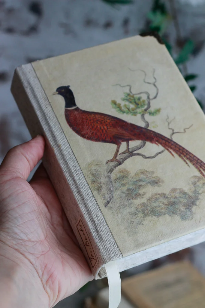 ornithology-art-journals (20 of 37).jpg