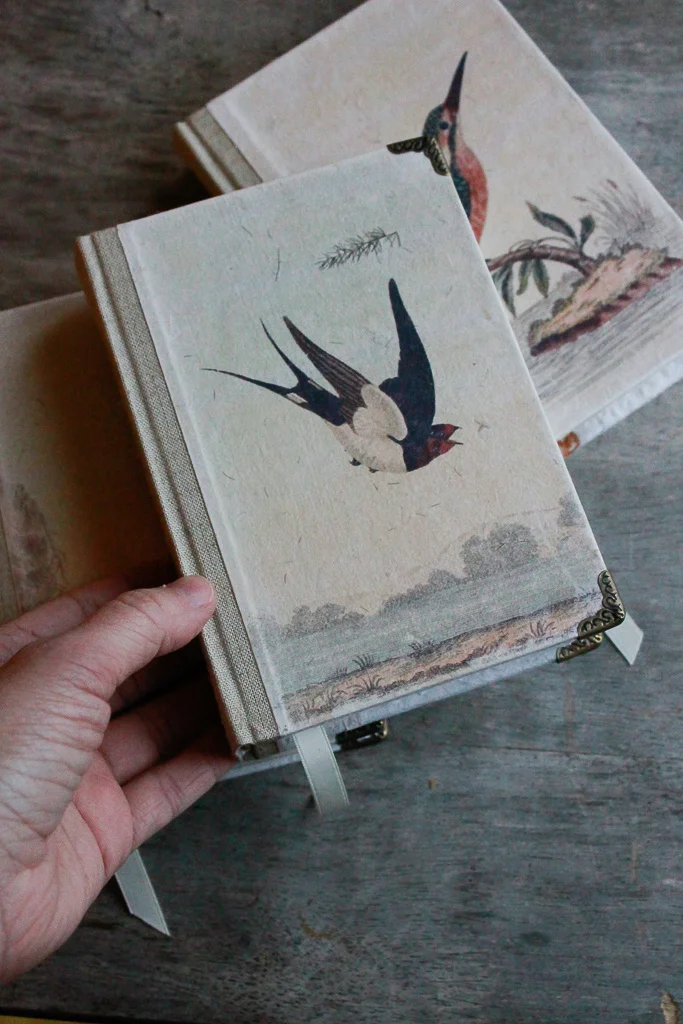 ornithology-watercolour-journals (29 of 30).jpg