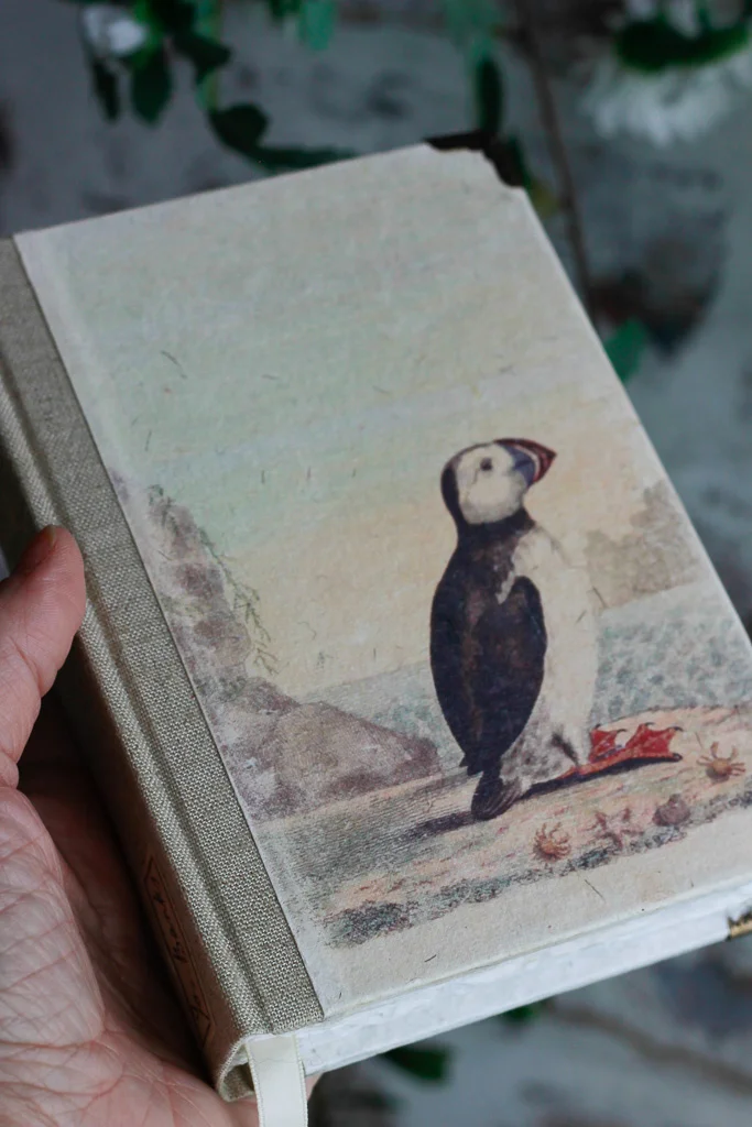 ornithology-art-journals (23 of 37).jpg