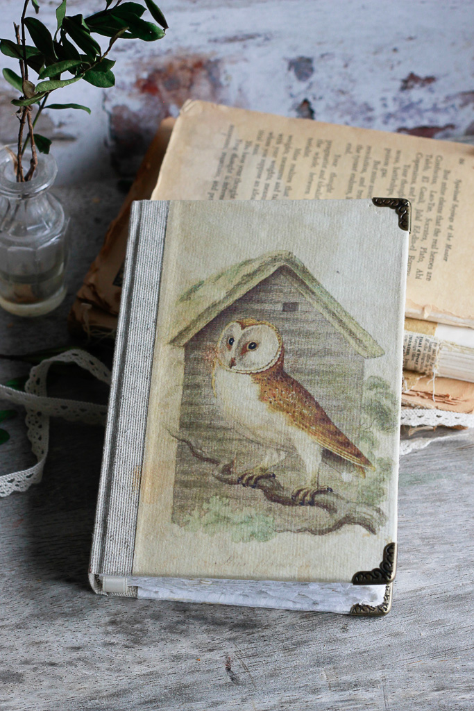 ornithology-art-journals (3 of 37).jpg