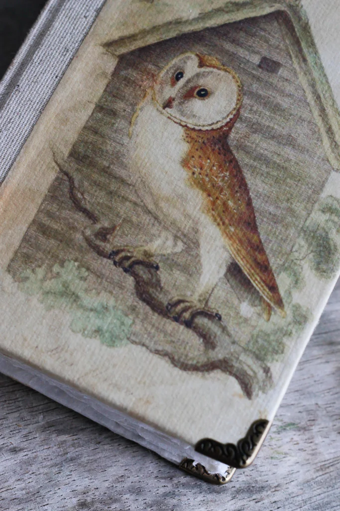 ornithology-art-journals (9 of 37).jpg