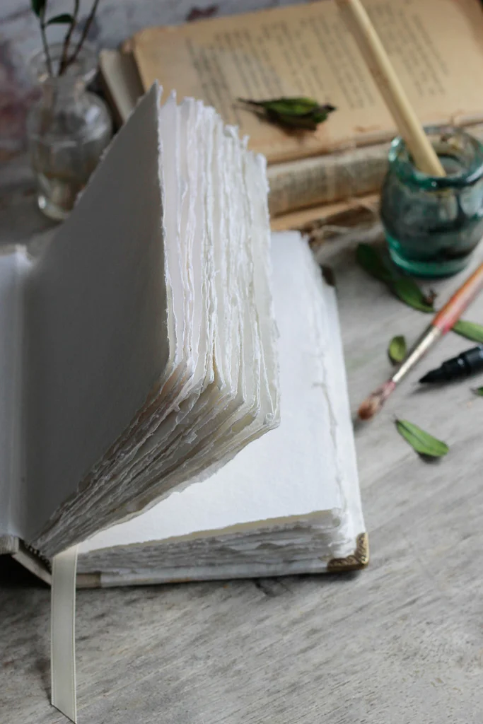 ornithology-art-journals (35 of 37).jpg